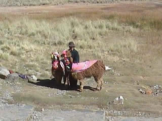 MANANTIAL AGUA GASIFICADA