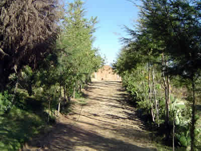 EL CEMENTERIO DE CORONGO 02