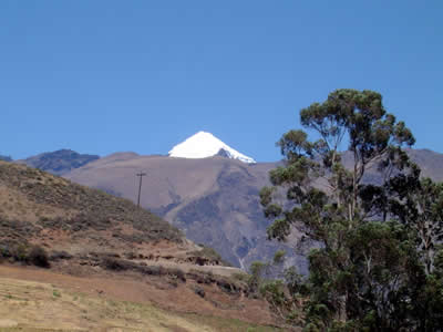 NEVADO CHAMPARA 02