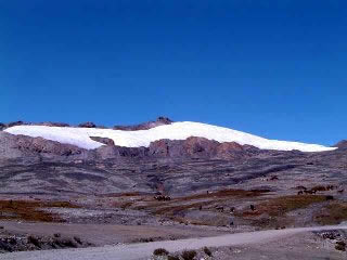 NEVADO PASTORURI