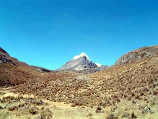 NEVADO PASTORURI Y TUCO