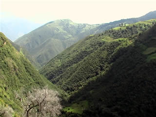 CERROS DE COCHARCAS 05