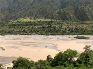 PAMPAS RIVER 10