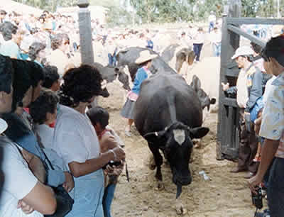 HACIENDA LA COLPA 02