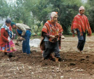 07pumahuanca