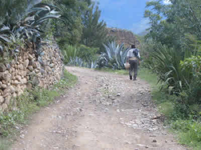 EL VALLE DE SAN MIGUEL DE HUACAR 04