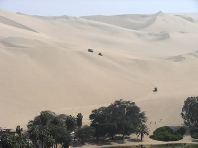 CARROS ARENENEROS O DUNE BUGGIES 04