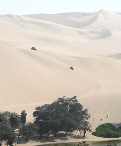 CARROS ARENENEROS O DUNE BUGGIES 05