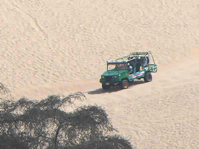 CARROS ARENENEROS O DUNE BUGGIES 08