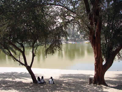 LA LAGUNA HUACACHINA 07