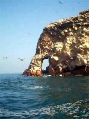 ISLAS BALLESTAS 09