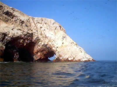 ISLAS BALLESTAS 11