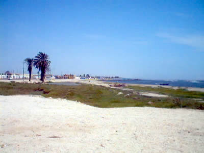 PISCO PLAYA