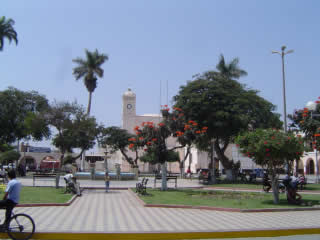 guadalupe 02