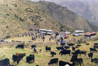 CORRAL DE RODEO SANTA CRUZ DE ANDAMARCA