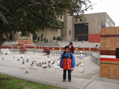 MUSEO DE LA NACION 02