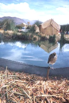 ISLA DE LOS UROS 03