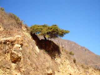 cantacollopaisaje