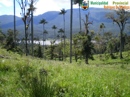 AREA DE CONSERVACION AMBIENTAL CUENCA LA DEL RIO HUAMANPATA 05