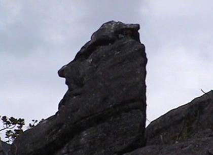 BOSQUE DE PIEDRAS RUNA RUNA 05