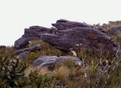 BOSQUE DE PIEDRAS RUNA RUNA 08