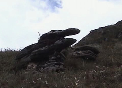 BOSQUE DE PIEDRAS RUNA RUNA 09