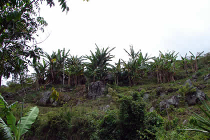 CAMINATA COCACHIMBA-GOCTA-COCACHIMBA 01