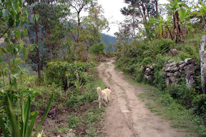 CAMINATA COCACHIMBA-GOCTA-COCACHIMBA 02