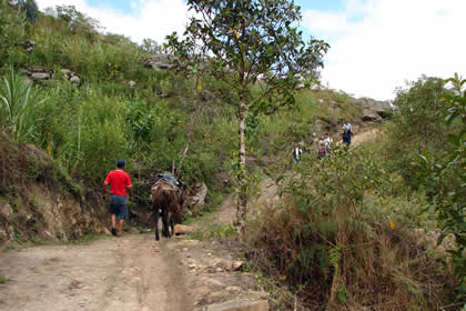 CAMINATA COCACHIMBA-GOCTA-COCACHIMBA 08