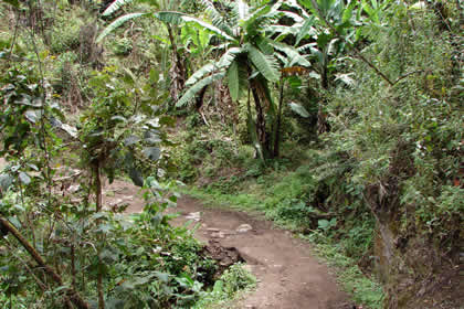 CAMINATA COCACHIMBA-GOCTA-COCACHIMBA 11