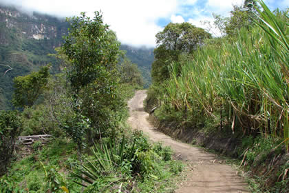 CAMINATA COCACHIMBA-GOCTA-COCACHIMBA 17