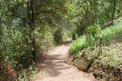 CAMINATA COCACHIMBA-GOCTA-COCACHIMBA 20