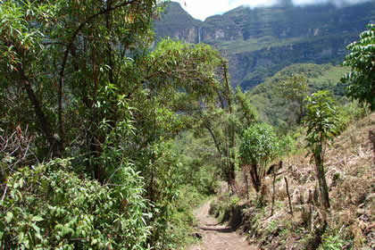 CAMINATA COCACHIMBA-GOCTA-COCACHIMBA 26