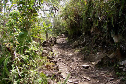 CAMINATA COCACHIMBA-GOCTA-COCACHIMBA 28