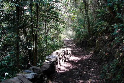 CAMINATA COCACHIMBA-GOCTA-COCACHIMBA 33