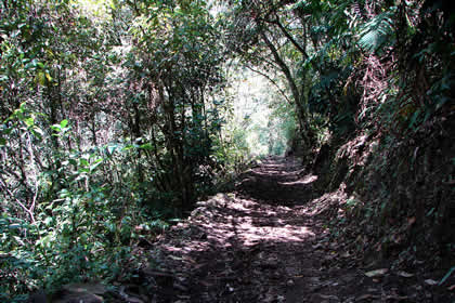 CAMINATA COCACHIMBA-GOCTA-COCACHIMBA 36