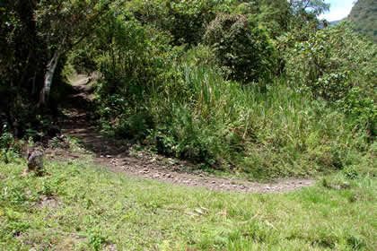 CAMINATA COCACHIMBA-GOCTA-COCACHIMBA 37