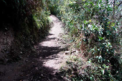 CAMINATA COCACHIMBA-GOCTA-COCACHIMBA 41