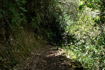 CAMINATA COCACHIMBA-GOCTA-COCACHIMBA 42