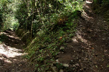 CAMINATA COCACHIMBA-GOCTA-COCACHIMBA 43