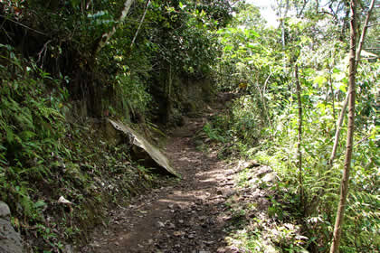 CAMINATA COCACHIMBA-GOCTA-COCACHIMBA 45