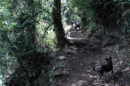 CAMINATA COCACHIMBA-GOCTA-COCACHIMBA 47