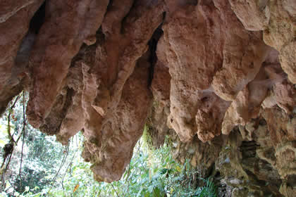 CAMINATA COCACHIMBA-GOCTA-COCACHIMBA 51