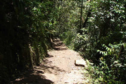 CAMINATA COCACHIMBA-GOCTA-COCACHIMBA 55