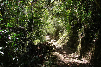 CAMINATA COCACHIMBA-GOCTA-COCACHIMBA 56