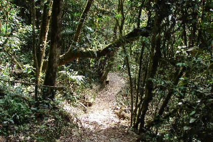 CAMINATA COCACHIMBA-GOCTA-COCACHIMBA 63