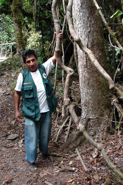 CAMINATA COCACHIMBA-GOCTA-COCACHIMBA 65