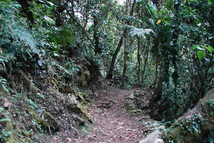 CAMINATA COCACHIMBA-GOCTA-COCACHIMBA 66