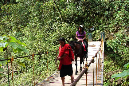 CAMINATA COCACHIMBA-GOCTA-COCACHIMBA 84