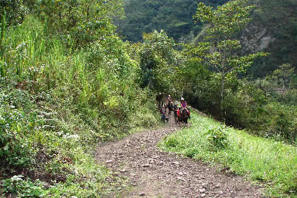 CAMINATA COCACHIMBA-GOCTA-COCACHIMBA 87